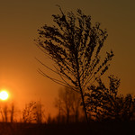 DSC_7722-001 essential sunset