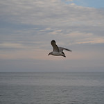 Sliding along the horizon