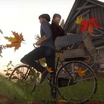 The Perfect Date Series 5