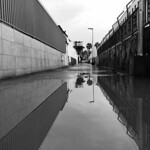 Tivoli Park despues de la lluvia / wedi&rsquo;r glaw