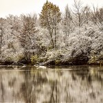 Looks like an early Winter