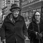 Strolling the Avenue