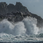 Farallon Islands