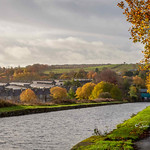 SJ1_3264 - Golden Mile?