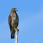 Watch it, I'm hungry