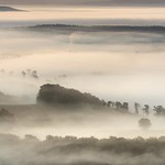 *The magic of morning mist II*