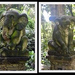 Monkey Forest, Bali.
