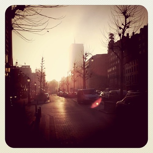Morning in Brussels