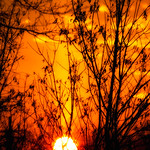 The big ball of fire 98/365