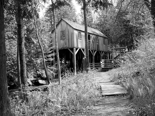 Black and White Saw Mill