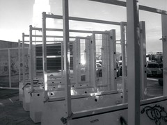 Finalmente salvati i marmi del Foro …