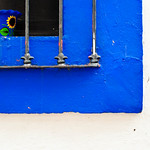 ....blues..& sunflower...