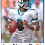 NFL D Culpepper MIA card-bj
