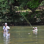 North Fork Shenandoah - July 25