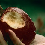 'Cause I don't wanna fall in love If you don't wanna try