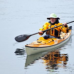 Kayaker
