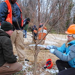 Tree Pruning Workshop