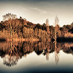 Reflejos sim&eacute;tricos / Symmetric reflections