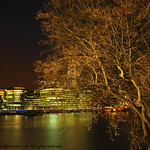 London , Tree Thames