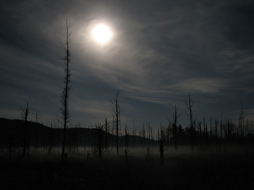 Westman Road Moon