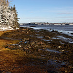 Waterfront in Winter