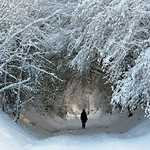 101220 rs 101221 &copy; Th&eacute;thi