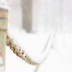 HFF ~ white Christmas edition