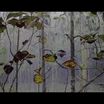 [Teak Wood ]Segun Garden at DEWAN BARI , SYLHET-1