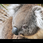 Truly Australia (III) | Happy Australia Day! :: HDR