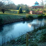 November in Sefton Park 11/10