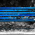 The Blue Bench