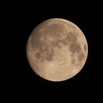 My Name Is Martha, and I'm a Child of the Moon