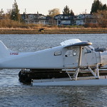 C-FGQZ Saltspring Beaver