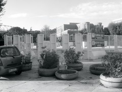 Finalmente salvati i marmi del Foro …