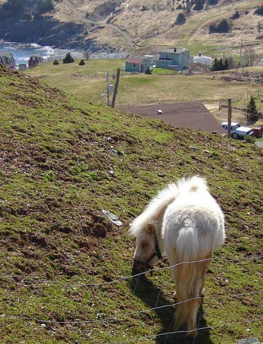 Quiet Day in the Sun