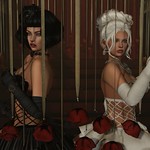 .Best View on Sunset Strip.