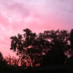 Ukiah PINK sky!