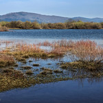 Colors of lake Cerknica