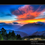 合歡日舞曲_3(Sun Dancing_3)