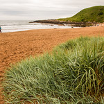 Coldingham Bay 2