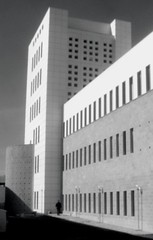 T’è piaciuto ‘sto morfema?