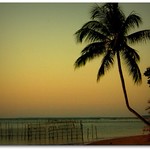 The End Of The Day // O FIm do Dia