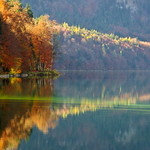 Autumn visions (Alpsee, Bayern)