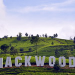 Mackwoods Labookellie Tea Centre