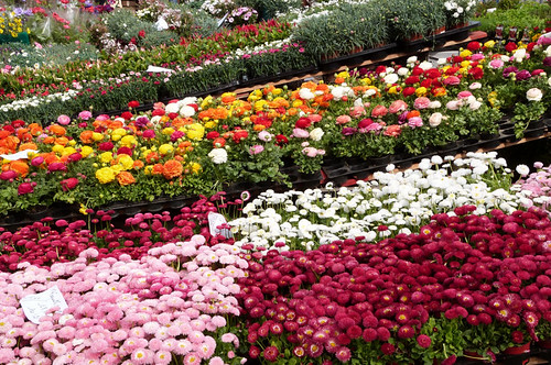 Garden Of The Great Explorers Un Jour De Plus A Paris