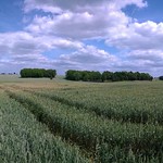 Holiday on bike (explore)