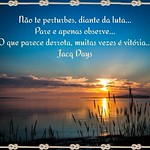 Observa&ccedil;&atilde;o