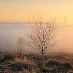 Brighten up - Gentleshaw Common