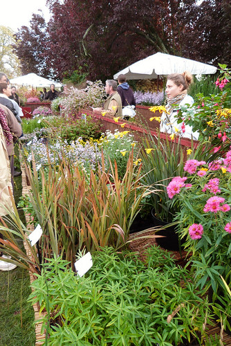 Le Jardin Du Morvan Garden In Larochemillay