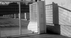 Finalmente salvati i marmi del Foro …